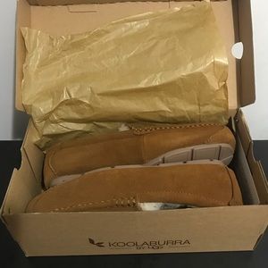 Kookaburra by ugg for man